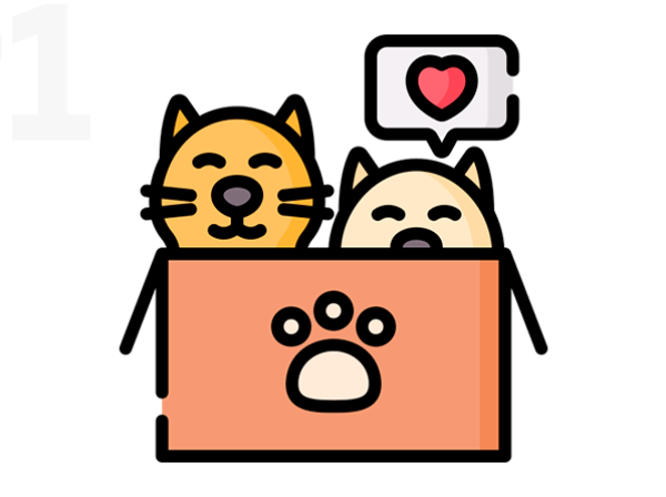 1. Adoptar